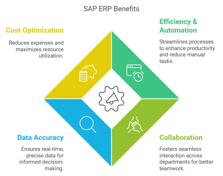 SAP Enterprise Resource Planning (ERP) System