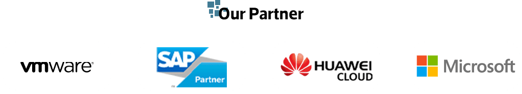 sap Partner