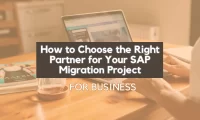 SAP Migration Project